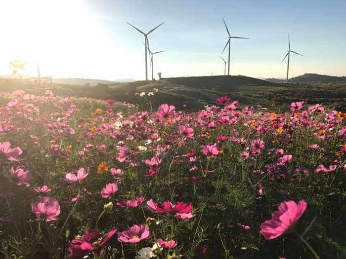 เที่ยวเขาค้อ 2 วัน 1 คืน, ที่เที่ยวเขาค้อ