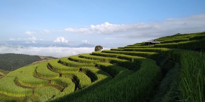 เที่ยวธรรมชาติ เชียงใหม่, สถานที่ท่องเที่ยวธรรมชาติเชียงใหม่