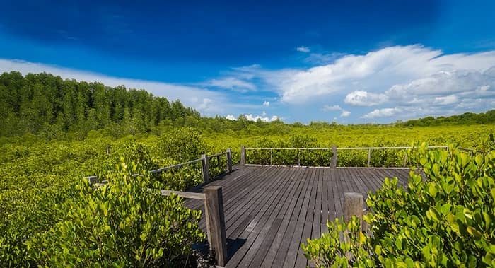 เที่ยวจันทบุรี 2 วัน 1 คืน,