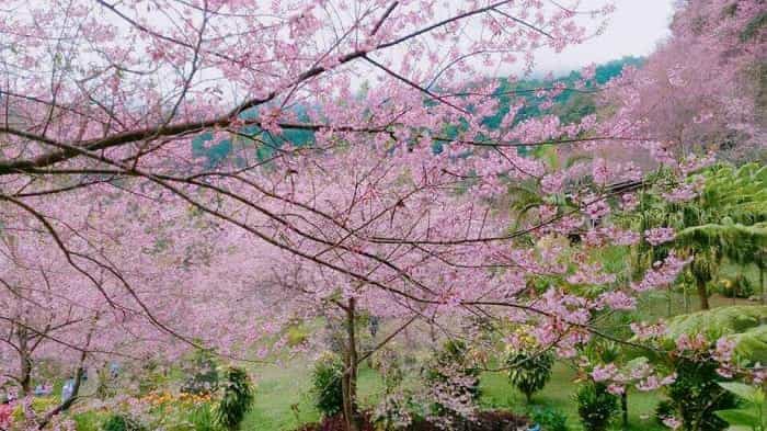สถานที่ท่องเที่ยวธรรมชาติเชียงใหม่