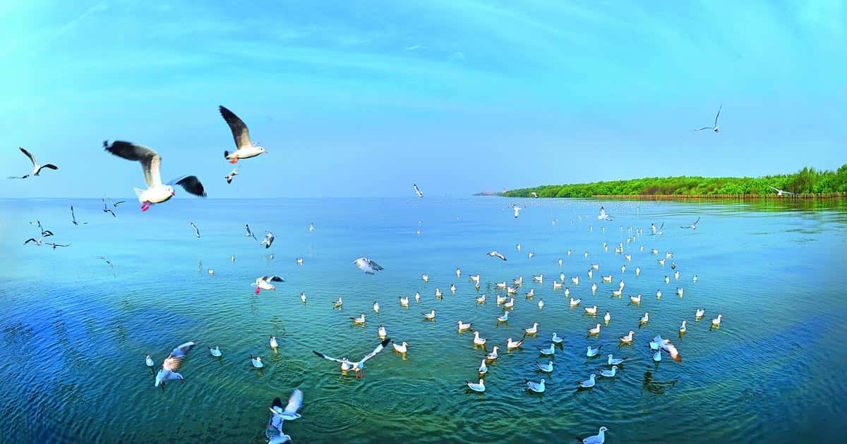 ที่เที่ยวแถวสมุทรปราการ, เที่ยววัดสมุทรปราการ