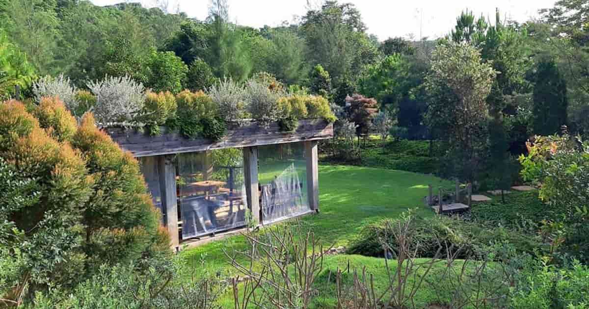 ที่พักธรรมชาติเขาใหญ่, รีสอร์ท ธรรมชาติ