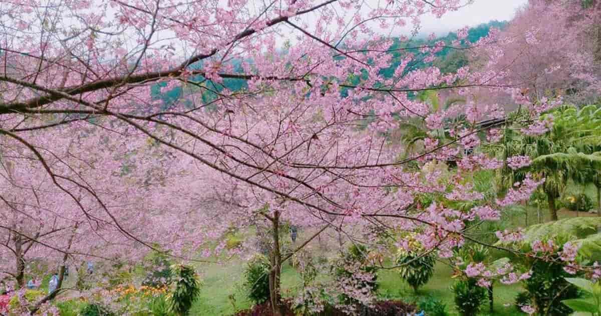 เที่ยวธรรมชาติ เชียงใหม่, สถานที่ท่องเที่ยวธรรมชาติเชียงใหม่