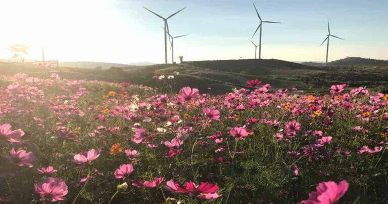 เที่ยวเขาค้อ 2 วัน 1 คืน, ที่เที่ยวเขาค้อ