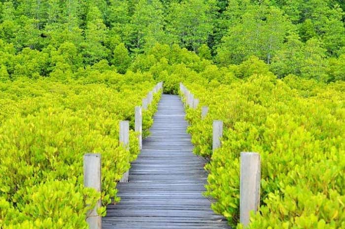 ระยองเที่ยวไหนดี, เที่ยวระยอง 2 วัน 1 คืน