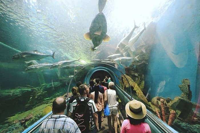 ระยองเที่ยวไหนดี, เที่ยวระยอง 2 วัน 1 คืน