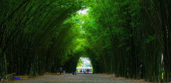 นครนายก เที่ยวไหนดี, จุดเช็คอิน นครนายก