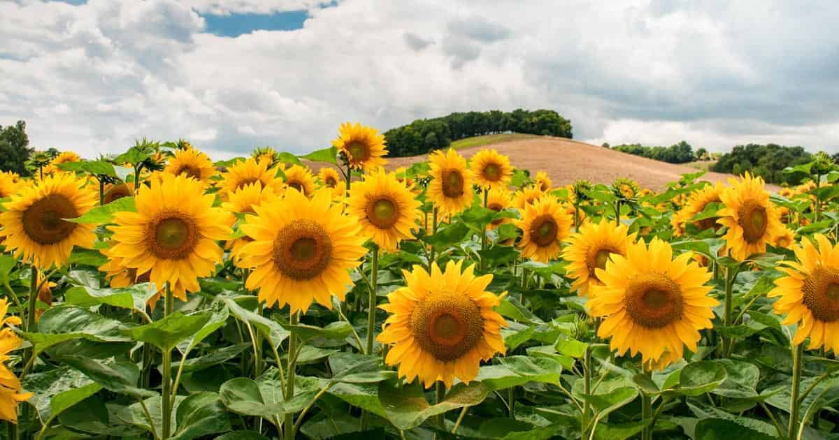 ธรรมชาติใกล้กรุงเทพ, สถานที่ท่องเที่ยวภูเขา 