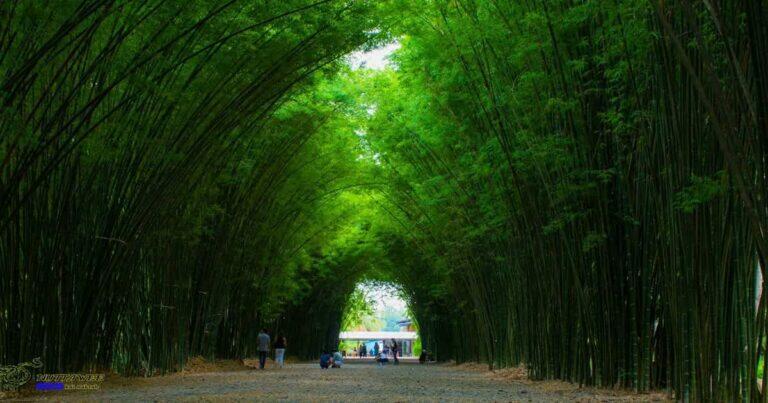 นครนายก เที่ยวไหนดี, จุดเช็คอิน นครนายก