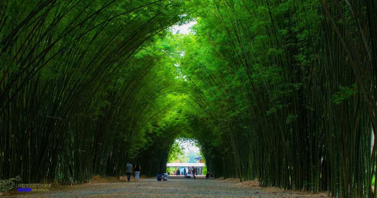 นครนายก เที่ยวไหนดี, จุดเช็คอิน นครนายก