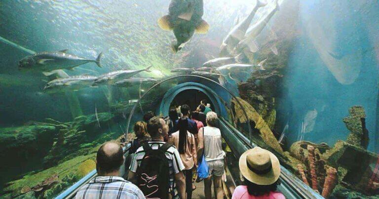 ระยองเที่ยวไหนดี, เที่ยวระยอง 2 วัน 1 คืน