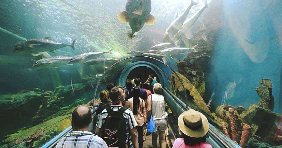 ระยองเที่ยวไหนดี, เที่ยวระยอง 2 วัน 1 คืน