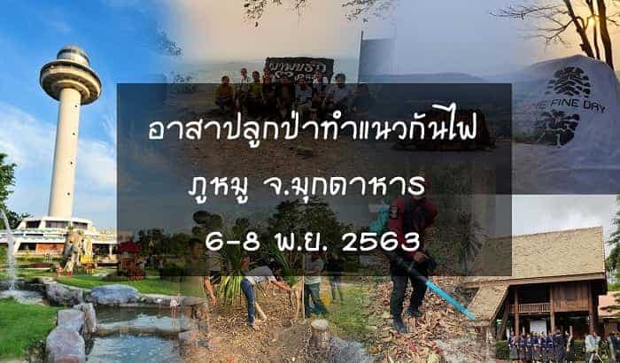 จิตอาสาปลูกป่า, กิจกรรมปลูกป่า