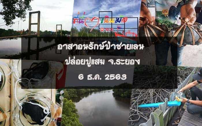 จิตอาสาปลูกป่า, กิจกรรมปลูกป่า