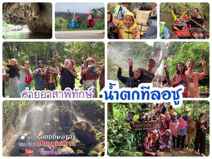 จิตอาสาปลูกป่า, กิจกรรมปลูกป่า