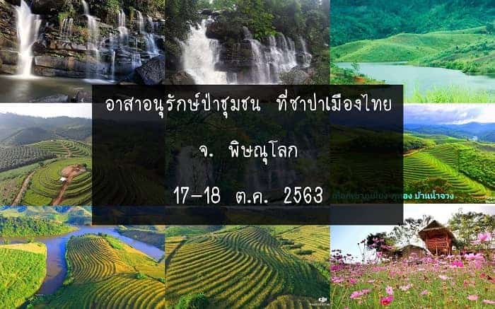 จิตอาสาปลูกป่า, กิจกรรมปลูกป่า