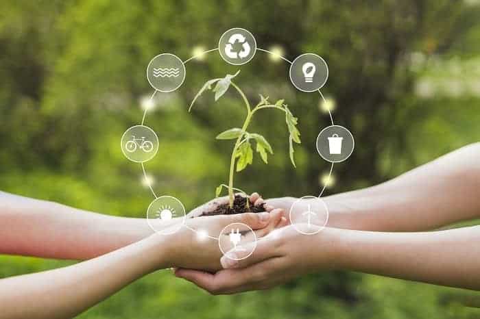 การดูแลรักษาสิ่งแวดล้อม, climate action คือ