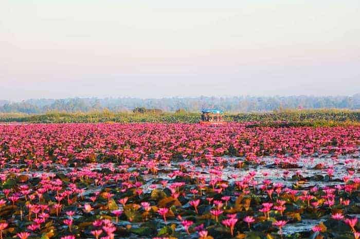 ที่ท่องเที่ยวภาคอีสาน, แหล่งท่องเที่ยวภาคอีสาน