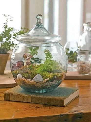 จัดสวนในขวดแก้ว, จัดสวนในขวด