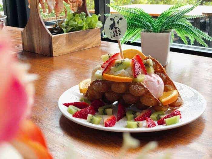 ร้านอาหารเหมาะสำหรับครอบครัว, ร้านอาหารสำหรับครอบครัว