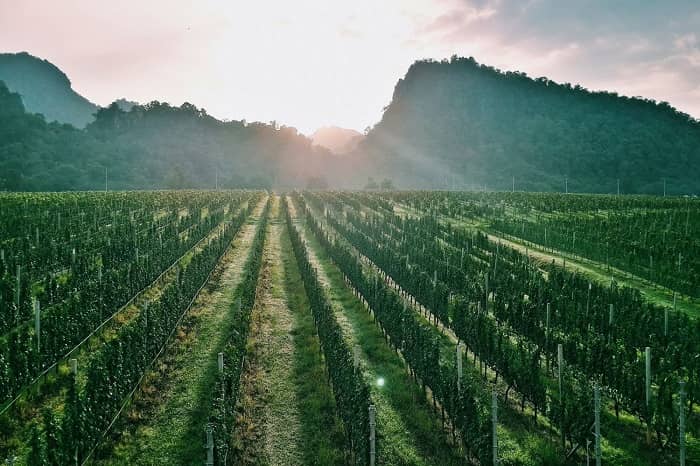 เที่ยวใกล้กรุงเทพ 1 คืน, เที่ยวใกล้กรุงเทพ 2 วัน 1 คืน