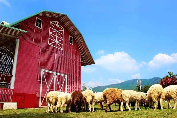 เที่ยวใกล้กรุงเทพ 1 คืน, เที่ยวใกล้กรุงเทพ 2 วัน 1 คืน