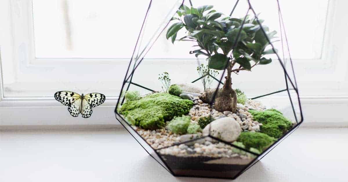 ของขวัญวันครบรอบเเฮนด์เมด, ของขวัญครบรอบ 1 ปี