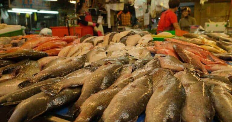 เที่ยวมหาชัย, ที่ท่องเที่ยวสมุทรสาคร