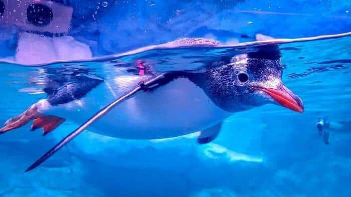 ที่เที่ยวแถวกรุงเทพ