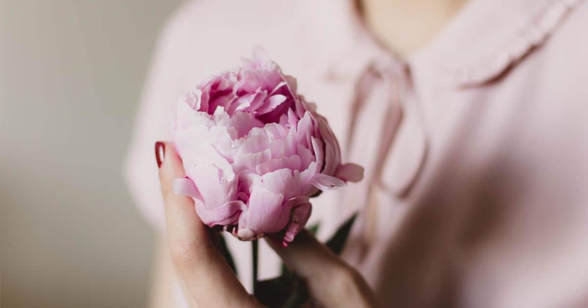 ดอกไม้จัดแจกัน, การจัดแจกันดอกไม้