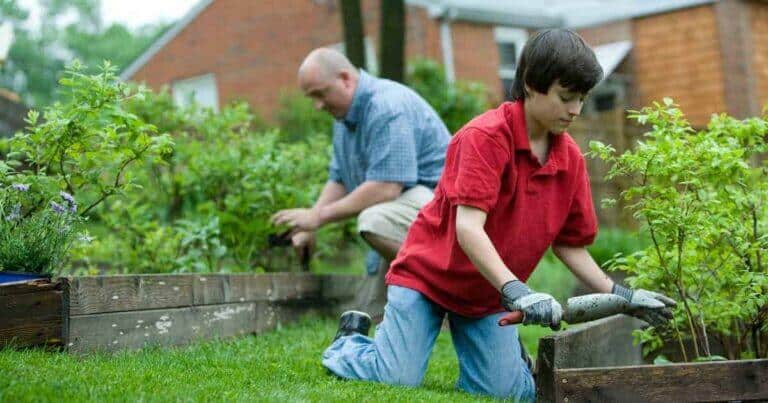 ปุ๋ยแบ่งออกเป็นกี่ชนิด, ชนิดของปุ๋ย