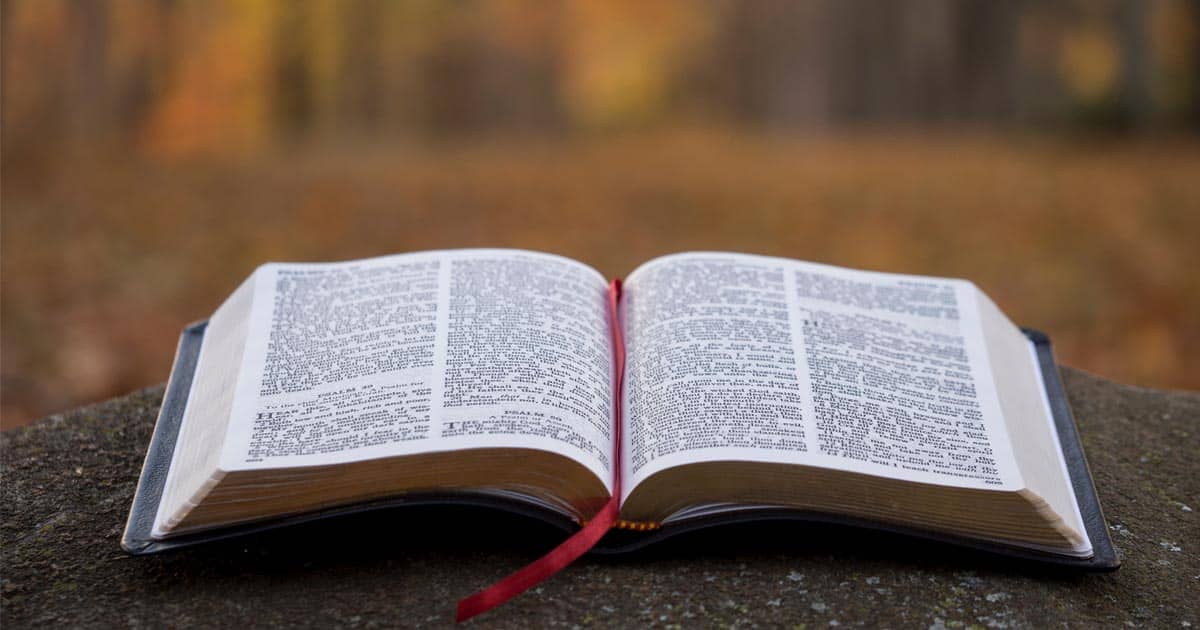 หนังสือควรอ่าน, หนังสือภาษาอังกฤษน่าอ่าน