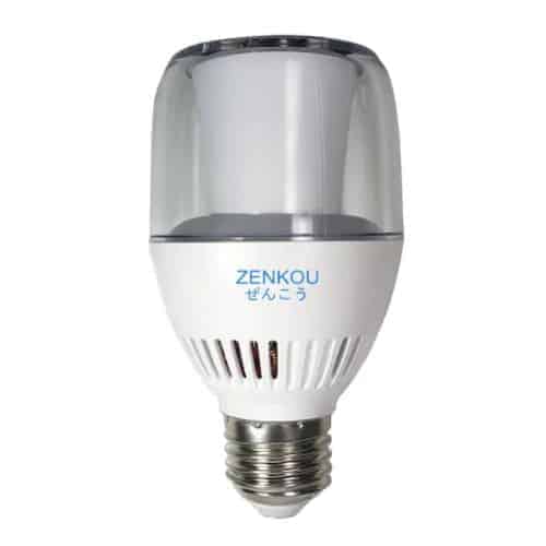 หลอดไฟกล้องวงจรปิด, กล้องวงจรปิดหลอดไฟ