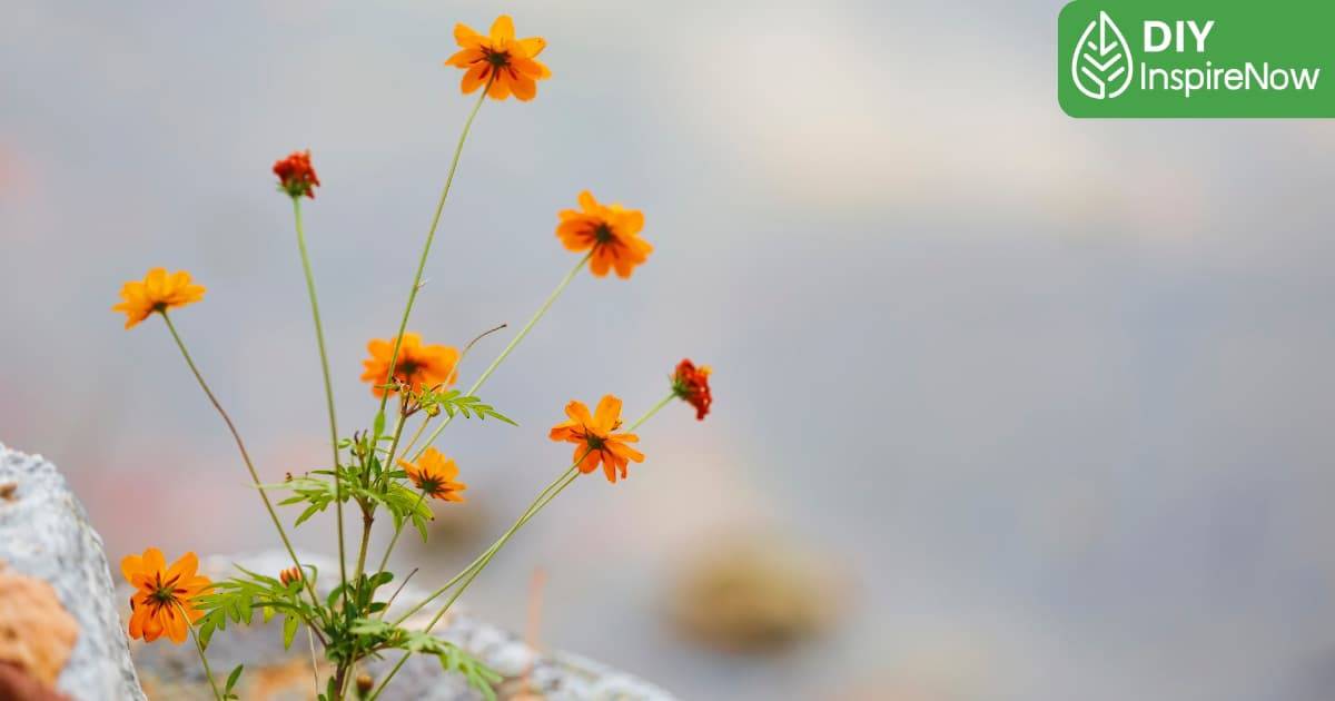 พระพุทธทาสภิกขุ คำสอน, ธรรมะสอนใจคน