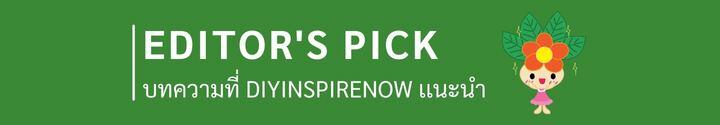 editor pick