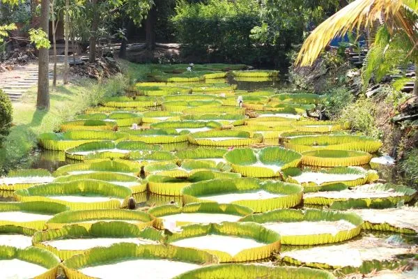 ที่ถ่ายรูปนนทบุรี_, ที่เที่ยวนนทบุรี 2564