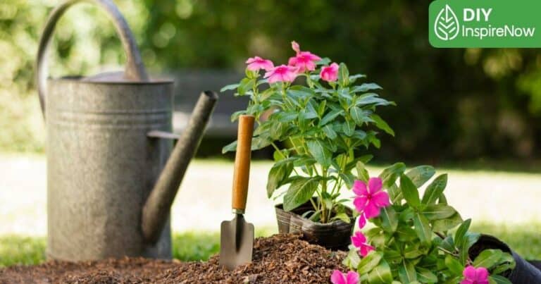 ต้นไม้ประจำวันเกิด, ต้นไม้เสริมดวง