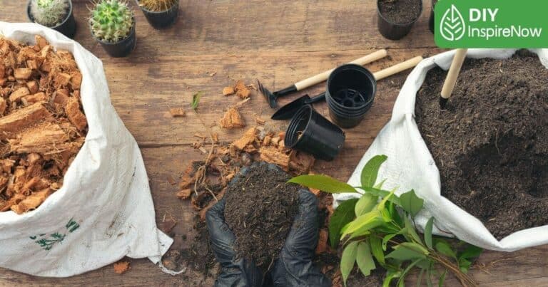 วิธีปลูกผักสวนครัว ในกระถาง, ปลูกผักสวนครัวในขวดพลาสติก