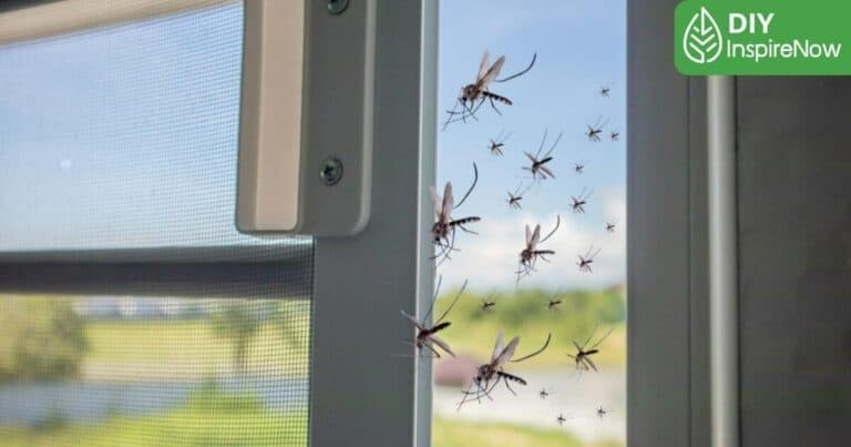 เครื่องไล่ยุงไฟฟ้ายี่ห้อไหนดี, เครื่องไล่ยุงไฟฟ้า