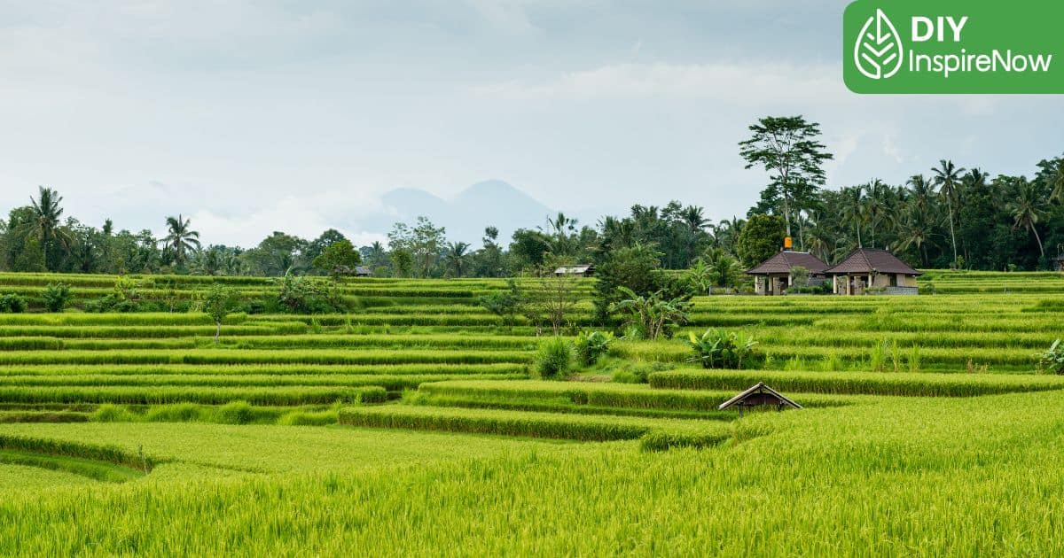 ที่พักกลางทุ่งนา ขอนแก่น, ที่พัก ขอนแก่น ธรรมชาติ