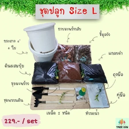 การปลูกผักชีฝรั่ง, การปลูกผักชีไร้ดิน