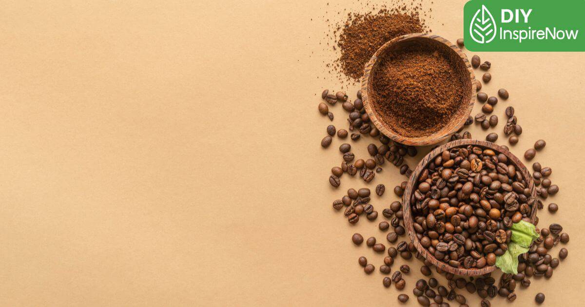 กากกาแฟ ประโยชน์, กากกาแฟ ทำอะไรได้บ้าง