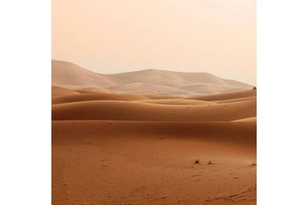 ภาพมงคลติดห้องนอน, รูปเรียกทรัพย์