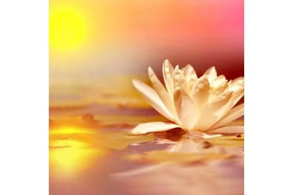 ภาพมงคลติดห้องนอน, รูปเรียกทรัพย์