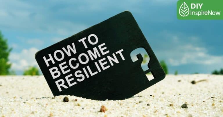 ล้มแล้วลุก, resilience mindset คือ