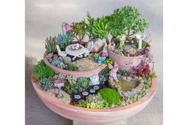 ไอเดียจัดสวนแคคตัส, จัดสวนแคคตัส