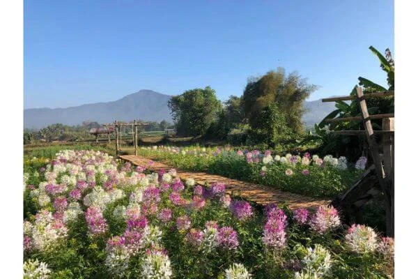ที่พัก น่าน บนดอย, ที่พัก น่าน สวยๆ