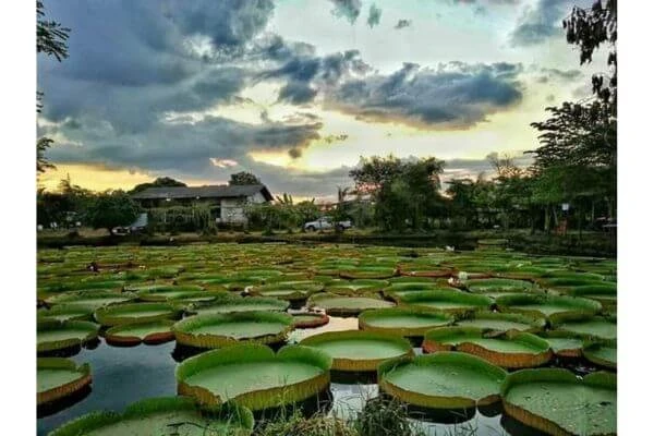 ที่เที่ยวพิษณุโลก ในเมือง, ที่เที่ยว พิษณุโลก 1 วัน