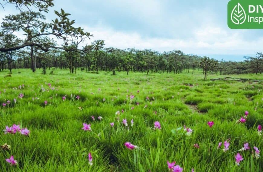 ชัยภูมิ ที่เที่ยวใหม่, ชัยภูมิ ที่เที่ยว
