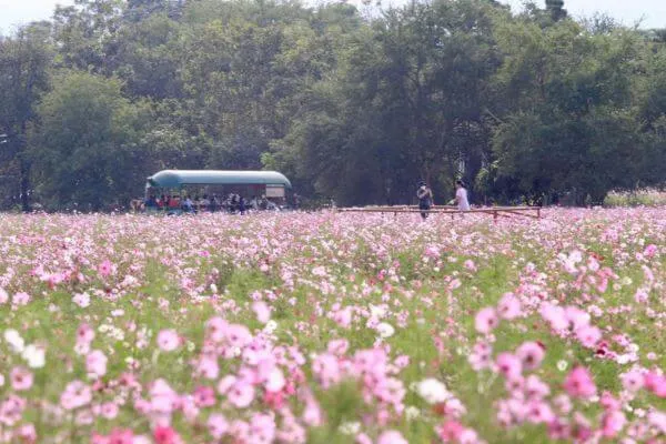 ที่เที่ยวครอบครัว ใกล้กรุงเทพ, ที่ เที่ยว นครราชสีมา